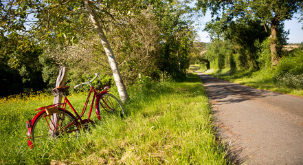 Fototapeta na wymiar Vieux vélo rouge au bord d'un chemin de campagne en France.