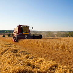 Fototapeta premium Moissonneuse au travail dans les champs de blé.