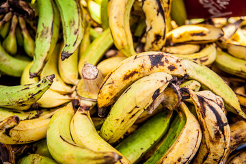 Bananas for baking in a market stand in Paramaribo, Suriname.