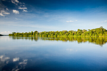 View on the Suriname river and jungle near Berg en Dal jungle resort, Suriname