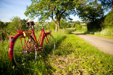 Fototapeta premium Vieux vélo rouge en campagne le long d'un chemin dans la nature.