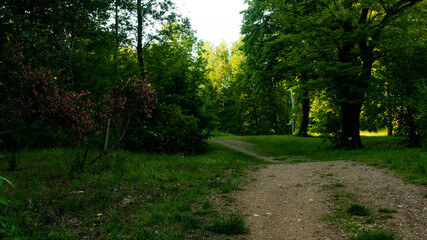 
Landscapes and views in the Botanical Garden in Radzionków. Ready for entry.
