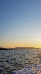 Sunset with birds over the coastline of Malta