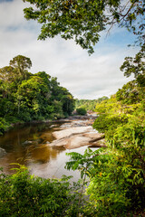 Fototapeta na wymiar View on the Suriname river in Upper Suriname, Awarradam jungle camp