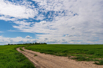 blue sky and dirt road in wheaten field, czech