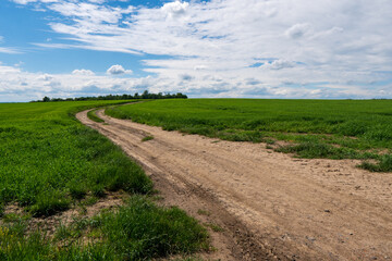 Fototapeta na wymiar blue sky and dirt road in wheaten field, czech