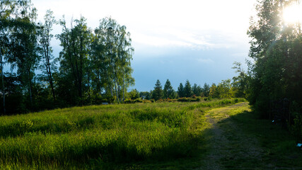 Obraz premium Landscapes and views in the Botanical Garden in Radzionków. Ready for entry.