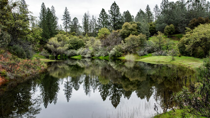 Fototapeta na wymiar Farm Pond Reflection
