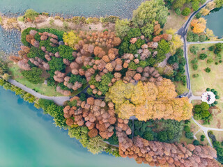Hubei Wuhan East Lake Scenic Area Late Autumn Aerial Photography Scenery