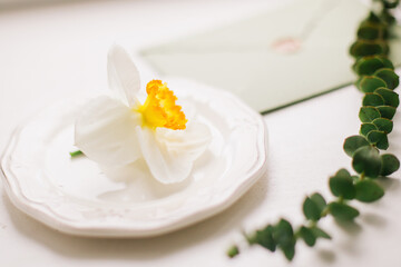 A delicate white flower lies on a saucer on a table