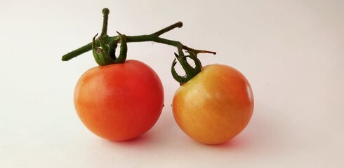 Two red tomatoes with a white background. Scientific name: Solanum lycopersicum