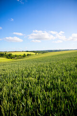 Paysage de campagne agricole en France au printemps.