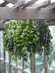 Saving summer.Medicinal herbal background.Bunches of mint and Melissa plants are dried under a canopy.