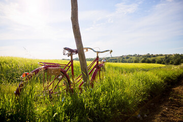 Vieux vélo rouge au bord d'un champ, campagne de France.