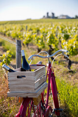 Obraz na płótnie Canvas Vélo rouge et caisse de vin dans un vignoble en France.