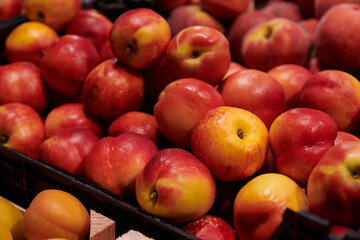A bunch of ripe nectarines. Delicious fresh fruits at the market. Fruits harvesting.