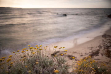 Golden hour over the Mediterranean Sea from the island of Corsica