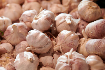 Garlic bulbs closeup. A bunch of selective garlic background with beautiful light. Organic vegetables at the market.