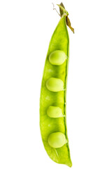 Vertical picture with selective focus on fresh bright open green pea pod. Antioxidant, natural, vitamin, organic, vegetarian food. Organic food. Macro background