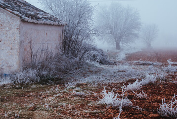 cold frozen landscape with old house, frozen vegetation, frost and fog