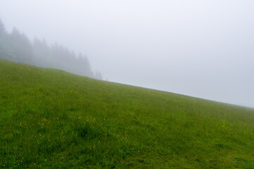 Wide panorama of beautiful foggy meadow. Dense fog over dry grass meadow and trees silhouettes at early spring morning.