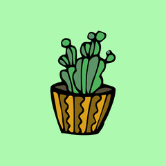 Cactus in a pot. Tropical flower in a pot.Green cactus in a colored pot on a light green background. Vector illustration in the style of doodles, cartoons, flat.