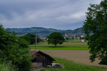 green hills and wooden houses and trees in Switzerland