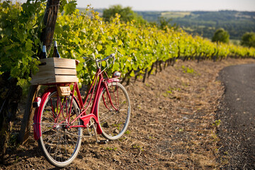 Vieux vélo rouge dans les vignes en France, caisse de bouteilles de vins sur le porte bagages. - obrazy, fototapety, plakaty