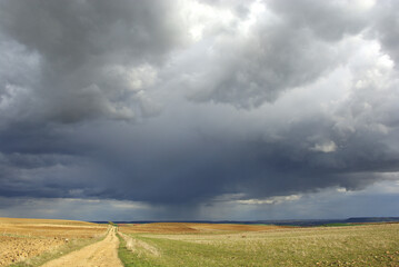Obraz premium Naturaleza, paisaje de campos ytierra de cultivo, sembrado con llamativo cielo. Daganzo. Madrid III