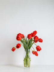Red tulips in a vase on the table, on a white background. Postcard blank.