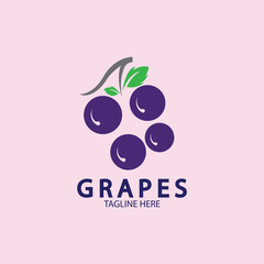 Grapes Vector Logo Icon isolated. Organic Wine branding template. Nature Grapes Logotype