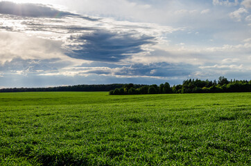 Obraz premium Beautiful typical countryside summer landscape. Countryside landscape