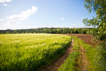 Campagne française au printemps.