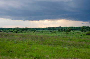 Fototapeta premium Dark cloud above the forest edge. Overcast weather