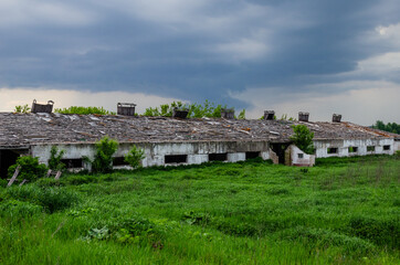 Abandoned ruined barn cowshed outside view