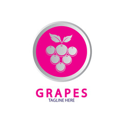 Grapes Vector Logo Icon isolated. Organic Wine branding template. Nature Grapes Logotype