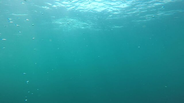 Slow motion underwater bubbles 