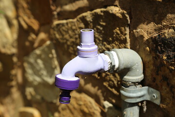 Purple tap with purple hose fittings fixed to a wall in a garden.