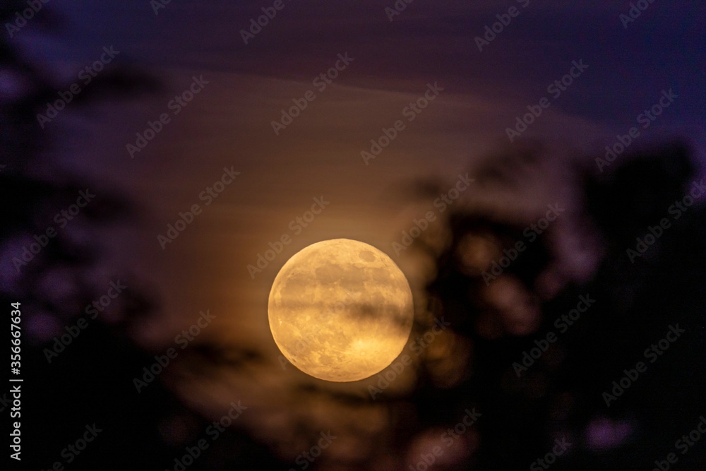 Wall mural spring super moon 2020