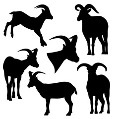 daghestan tur black and white vector silhouette set - standing and jumping mountain goats outline collection