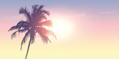 palm trees silhouette on a sunny day summer holiday design vector illustration EPS10 © krissikunterbunt