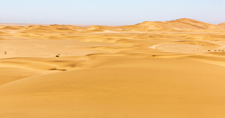 The namib desert in Namibia