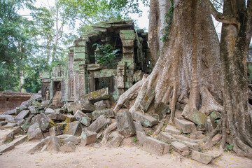 Ruins Ta Prohm temple and Banyan Tree Roots, Angkor Wat complex, Siem Reap, Cambodia.
