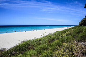 Fun in the sun, Eagle Bay, Western Australia 