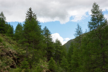 Fototapeta premium Paesaggio montano