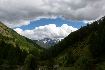 Fototapeta na wymiar Paesaggio montano
