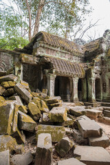 Fototapeta premium Ruins Ta Prohm temple and Banyan Tree Roots, Angkor Wat complex, Siem Reap, Cambodia.