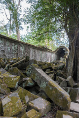 Ruins Ta Prohm temple and Banyan Tree Roots, Angkor Wat complex, Siem Reap, Cambodia.