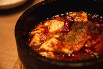 Mapo Tofu is a popular Chinese dish from Sichuan province.The special hot is famous for Sichuan pepper,chili pepper and garlic.