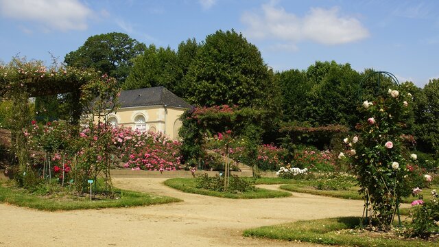 Roseraie jardin de la Perrine  ( Laval )